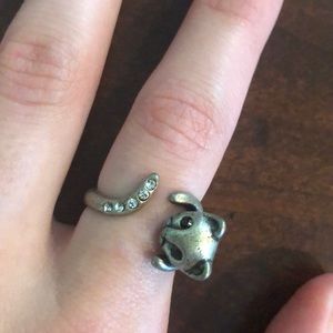 Cat ring